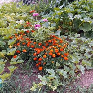 Meet your Posher, Valerie